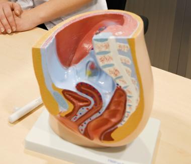 Fertiliteitsarts (0,6 fte)