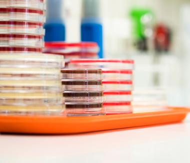 Deskundige infectiepreventie (36 uur)